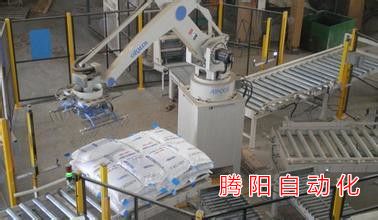 全自動(dòng)碼垛機(jī)器人