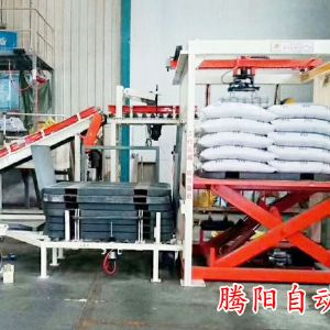 山東騰陽全自動(dòng)碼垛機(jī)滿足您所有應(yīng)用的需求