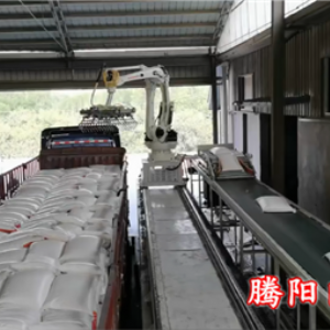 全自動裝車機(jī)械手實現(xiàn)志能化無人化全自動的裝車工作