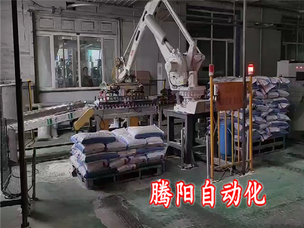 塑料顆粒碼垛機(jī)器人