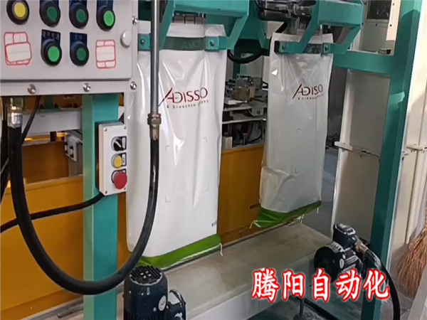 雙工位包裝碼垛機(jī)生產(chǎn)線